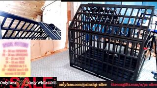 Watch painslut_alice New Porn Video [Chaturbate] - slave, bdsm, bigtits, bondage, petite