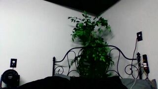 beeishungry New Porn Video [Chaturbate] - anal, petite, footjob, jerkoff
