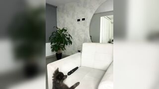 EllaSanz_ HD Porn Video [Stripchat] - luxurious-privates, big-ass-latin, cam2cam, big-tits-latin, heels