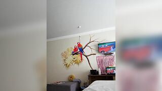 DirtySnowball69 HD Porn Video [Stripchat] - curvy, mobile, squirt, doggy-style, deluxe-cam2cam
