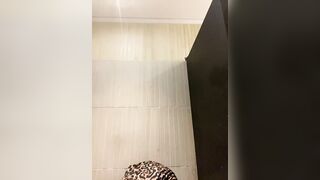alana15 Webcam Porn Video Record [Stripchat]: creampie, dirty, lady, braces
