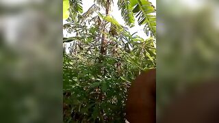 Sherry_she Hot Porn Video [Stripchat] - mobile, big-ass-ebony, twerk-young, squirt-young, striptease-young