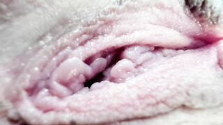 Watch courtney_luv Top Porn Video [Chaturbate] - new, natural, pussy, squirt, petite