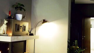 flowerr_powerr Top Porn Leak Video [Chaturbate] - new, longlegs, lovense, erotic, dance
