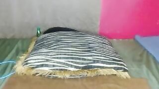 Teilasexy Hot Porn Leak Video [Stripchat] - girls, hardcore, striptease, cheap-privates, facesitting
