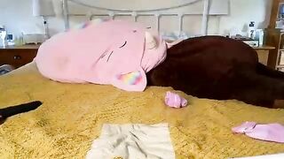 autumngrove New Porn Video [Chaturbate] - redhead, british, teen, shaved, pale