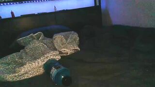 backshot101 Top Porn Leak Video [Chaturbate] - curly, slut, tattooed, girlnextdoor
