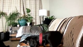 jazzy069420 Hot Porn Video [Chaturbate] - relax, flirt, sporty, dome