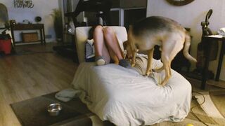 dazeydo Top Porn Video [Chaturbate] - fingerpussy, asmr, party, lingerie thumbnail