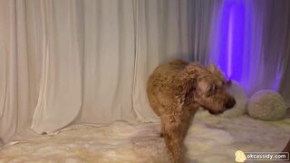Watch oh_ok_cassidy New Porn Leak Video [Chaturbate] - new, natural, blonde, longhair