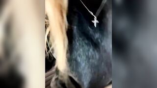 Watch AnastasiaRoss_ From Stripchat HD Porn Video Leak - striptease, recordable-publics, russian-teens, nylon, lesbians