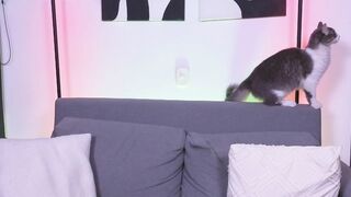 Watch jane_hart_ From Stripchat Free Porn Video Record - colombian, camel-toe, cheap-privates, dildo-or-vibrator-young, hd