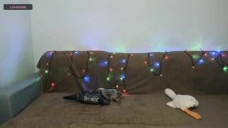 Watch crystal_lilith From Stripchat HD Porn Video Leak - outdoor, recordable-privates, big-ass-white, middle-priced-privates-white, facesitting