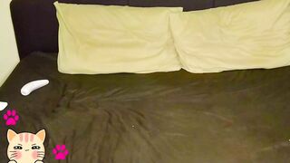 SweetPeachyPaws Webcam Porn Video Record [Stripchat]: bigdildo, dolce, cuckold, cumshowgoal