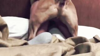 nailybunny_ From Stripchat Hot Porn Video  - squirt-white, petite-white, small-tits, trimmed, fisting