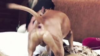 nailybunny_ From Stripchat Hot Porn Video  - squirt-white, petite-white, small-tits, trimmed, fisting