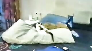 NaughtyCandBBBbxmbshxll From Stripchat New Porn Video Leak - striptease, blowjob, cheap-privates, cooking, oil-show