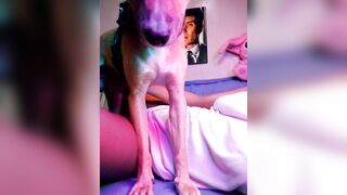 Watch sofia1981 From Stripchat Top Porn Video Leak - dildo-or-vibrator-young, cheap-privates-young, hd, dildo-or-vibrator-double-penetration, twerk-latin