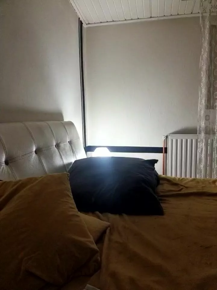 Porn Picture