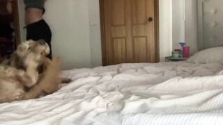 Watch sweetmiadreams Best Porn Leak Video [Chaturbate] - young, 18, aussie, teen
