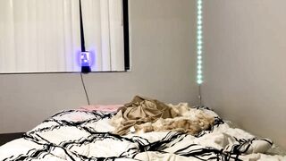 vanillalatinachika New Porn Video [Chaturbate] - tight, young, wifematerial, couple