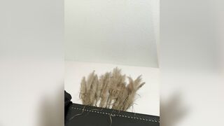 Watch 2brokegirlz From Stripchat Best Porn Video  - girls, dirty-talk, american-blondes, small-tits, hairy-armpits