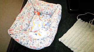 Watch welllhung4u Top Porn Video [Chaturbate] - foot, brunette, domination, me
