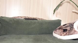 yuanlili Top Porn Video [Chaturbate] - asian, kiss, mediumtits, cute, dirty