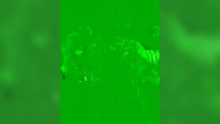 Ariadna4u Webcam Porn Video Record [Stripchat]: thickass, hush, brunette, naturalboobs