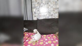 loiracoroa Webcam Porn Video Record [Stripchat]: fetishes, feets, hello, dance