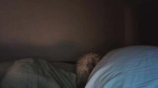 Sabrina185 Webcam Porn Video Record [Stripchat]: handjob, plug, greeneyes, tights