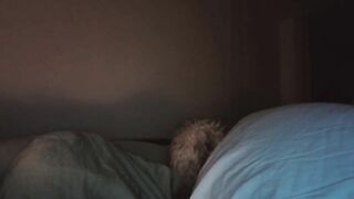 Sabrina185 Webcam Porn Video Record [Stripchat]: handjob, plug, greeneyes, tights