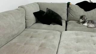 scarletterose_504259 Top Porn Video [Chaturbate] - new, flexible, blonde, gymgirl thumbnail