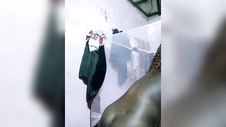 Brown_eyes69 From Stripchat Top Porn Video Leak - twerk, african, anal-ebony, mobile, dirty-talk