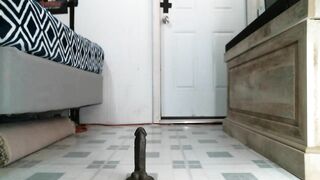 Watch kitty2488 New Porn Video [Chaturbate] - dildo, tease, vibrator, shy, skinny