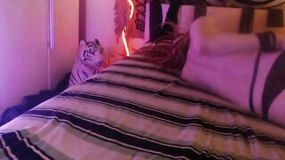 Insomniacid Webcam Porn Video Record [Stripchat]: chat, sexytits, twerk, hugeboobs, asian