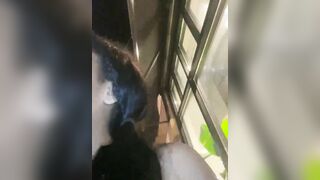 charmingari Webcam Porn Video Record [Stripchat] - tattoos, fitbody, c2c, colombian, fingerass