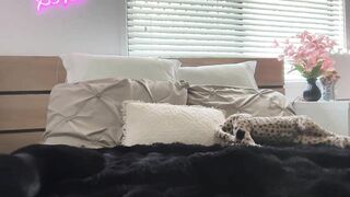 novamills New Porn Leak Video [Chaturbate] - new, young, aussie, teen thumbnail