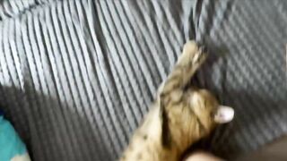 mark_and_jennie Top Porn Video [Chaturbate] - new, deepthroat, pov, 18, teen