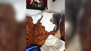 mossy_kiss Webcam Porn Video Record [Stripchat] - master, twerking, nasty, uncut