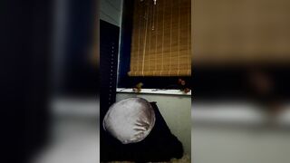 CheshireKat1 Webcam Porn Video Record [Stripchat] - vibrate, cei, blonde, feel