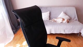 MollyBumm Webcam Porn Video Record [Stripchat] - white-milfs, small-audience, humiliation, petite-milfs, sex-toys