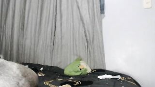 baby_sexy07 Webcam Porn Video Record [Stripchat] - doggy-style, fingering-latin, couples, cheap-privates, cumshot