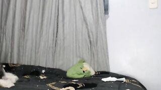 baby_sexy07 Webcam Porn Video Record [Stripchat] - doggy-style, fingering-latin, couples, cheap-privates, cumshot