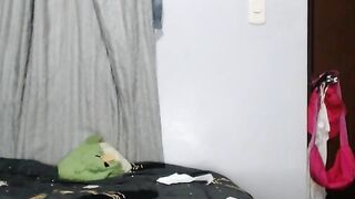 baby_sexy07 Webcam Porn Video Record [Stripchat] - doggy-style, fingering-latin, couples, cheap-privates, cumshot