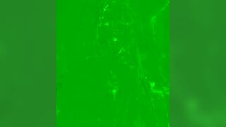 Watch pinkstar_ New Porn Video [Stripchat] - fetishes, piercings, medium, oil-show, russian