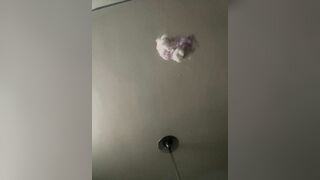 wikkedly19 Webcam Porn Video Record [Stripchat]: fuckpussy, humiliation, nora, naked