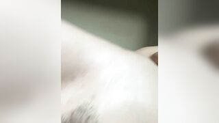 SucculentRose Webcam Porn Video Record [Stripchat]: suck, sex, blonde, hd